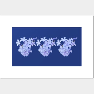 Three Bunches of Little Blue Flowers Photo Posters and Art